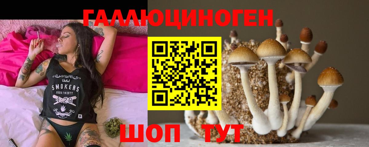 Псков  даркнет сайт  Вход с VPN  Псилоцибиновые грибы Psilocybine cubensis 